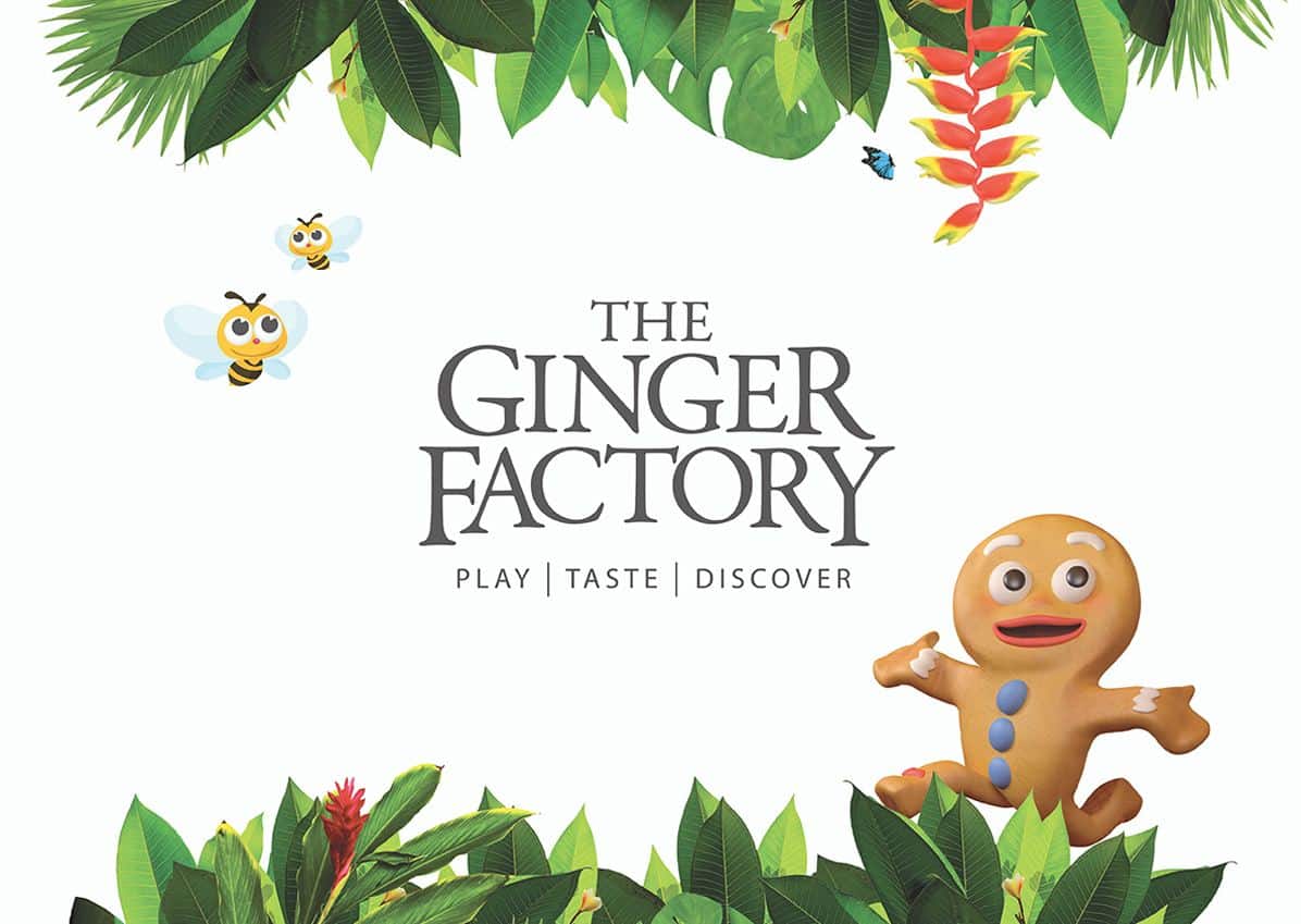 Ginger Factory02