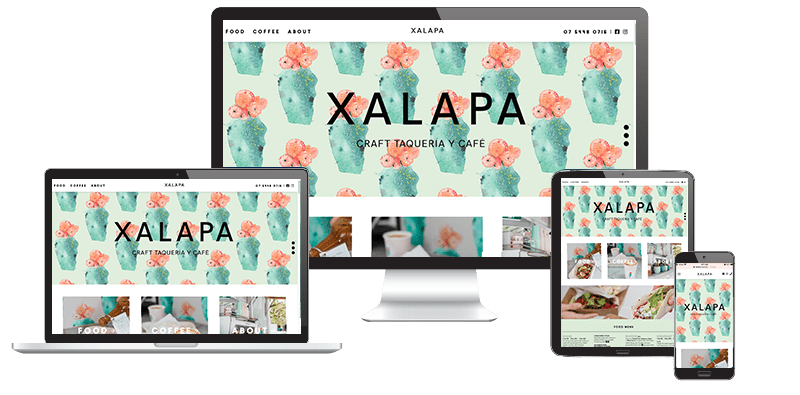 Websites Screens Xalapa