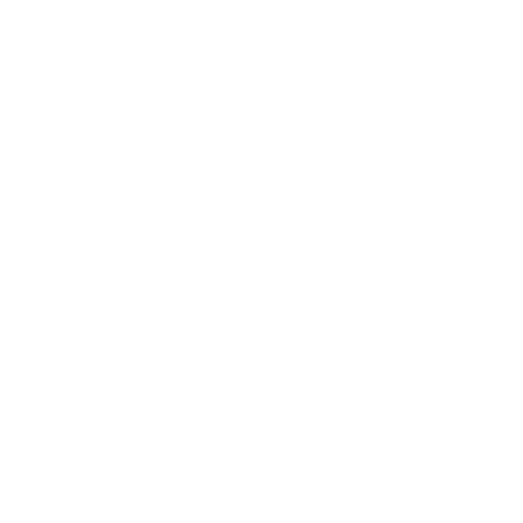 Client Logo Noosa Natural Chocolate Co